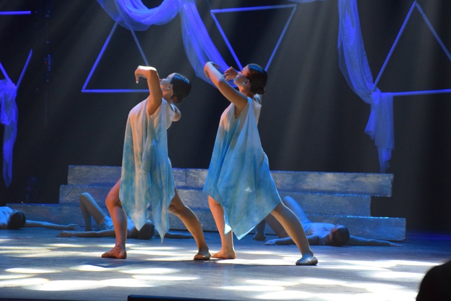 ������ ���� - 2024