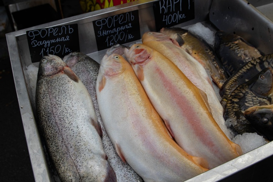 5-�, ���������, ���������������� ��������� ����� �����