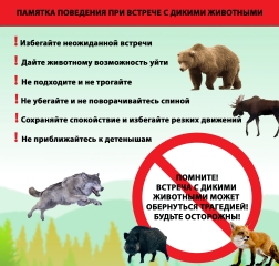 ������� ��� ������� � ������ ���������