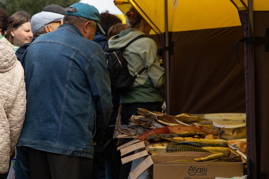 5-�, ���������, ���������������� ��������� ����� �����