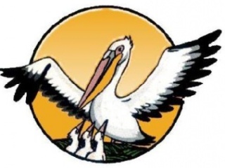   -2011:  