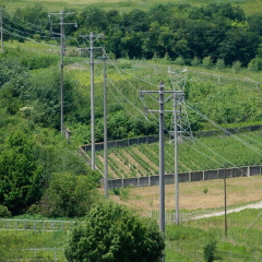 ������� ������������� (������������������, ���������������, �����������) �� �������� ������������ ��� ������������� ������, ����������� � �������� ���� ����� ���������������