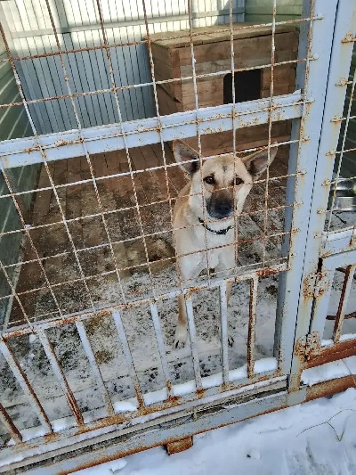 ������ ����