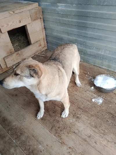 ������ ��������