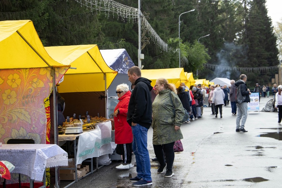 5-�, ���������, ���������������� ��������� ����� �����